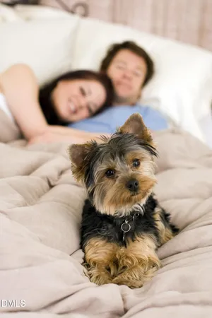 $500,000 | 605 Hedrick Ridge Road, Unit 305, Cary, NC 27519