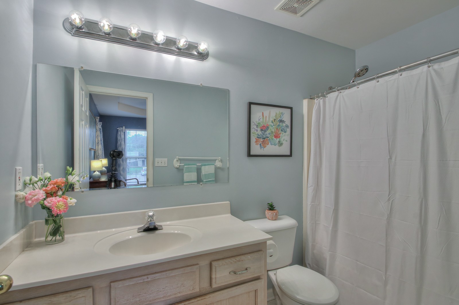 7481 Christopher Street Fairview, TN 37062 - Photo 25 of 42 a bathroom with a sink a toilet and mirror