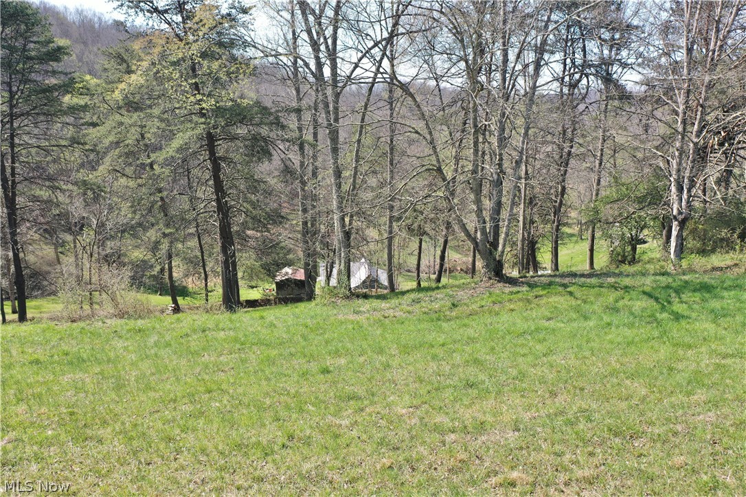 6670 Lower Run Road Normantown, WV 25267 - Photo 25 of 46