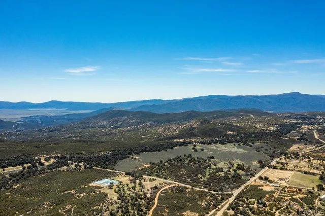 a view of a lush green forest with mountains in the background
