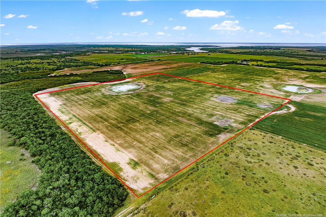 Lot 9 East County Road 2300 Riviera, TX 78379 - Photo 2 of 6 View of lots 9 and 10, both 20 acre lots. As view