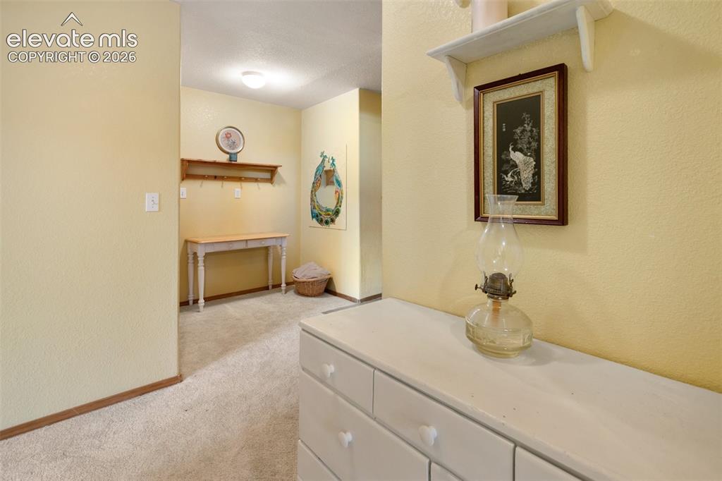 996 Spring Valley Drive Divide, CO 80814 - Photo 32 of 47 LL Bath
