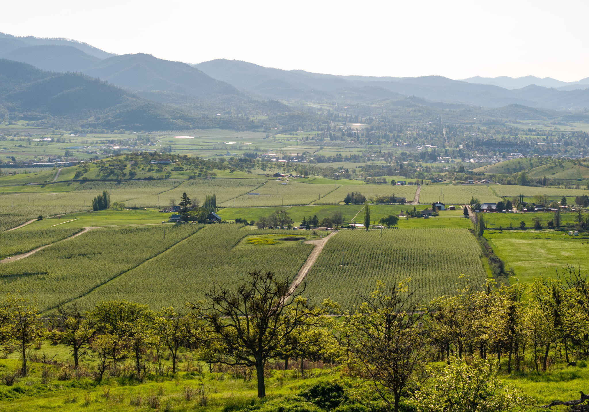 AshlandLand