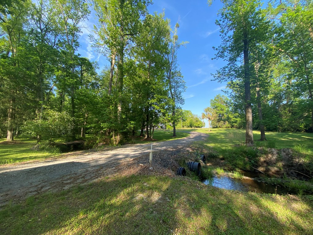 8293 Old State Road Cameron, SC 29030 - Photo 3 of 24 Photo 3