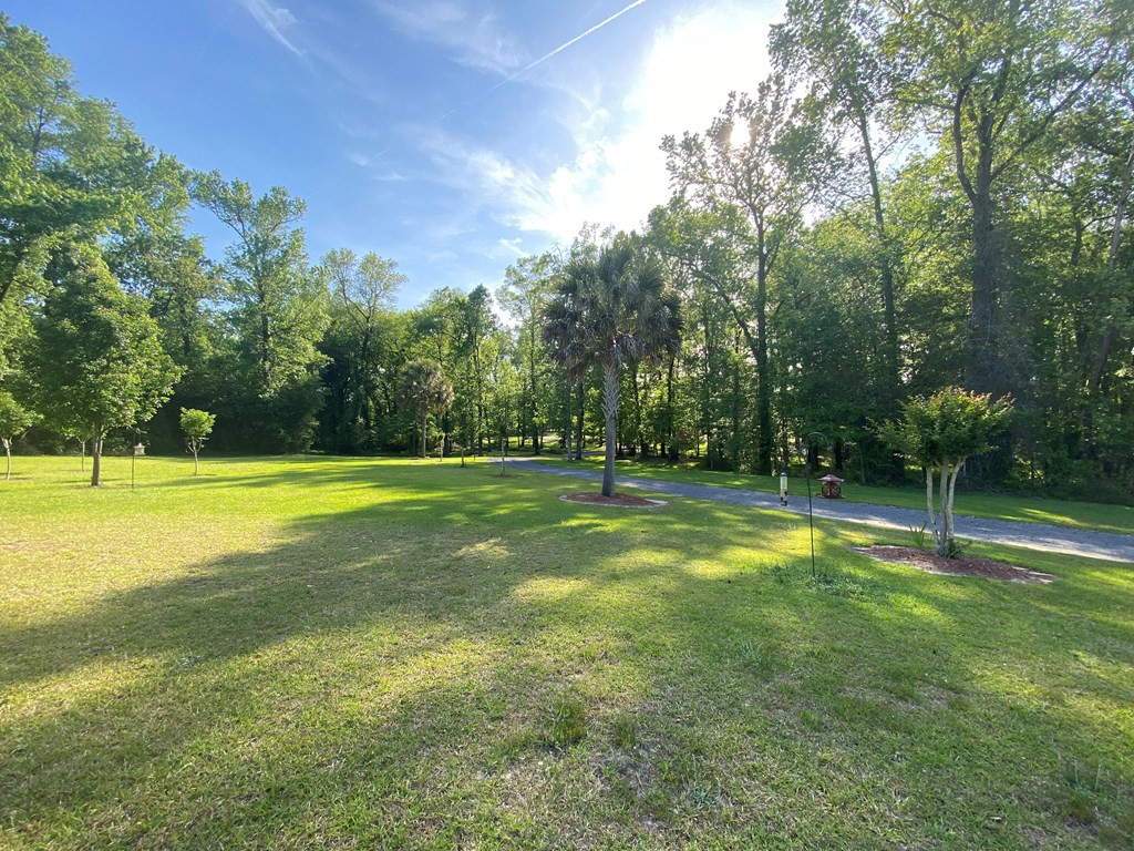 8293 Old State Road Cameron, SC 29030 - Photo 4 of 24 Photo 4