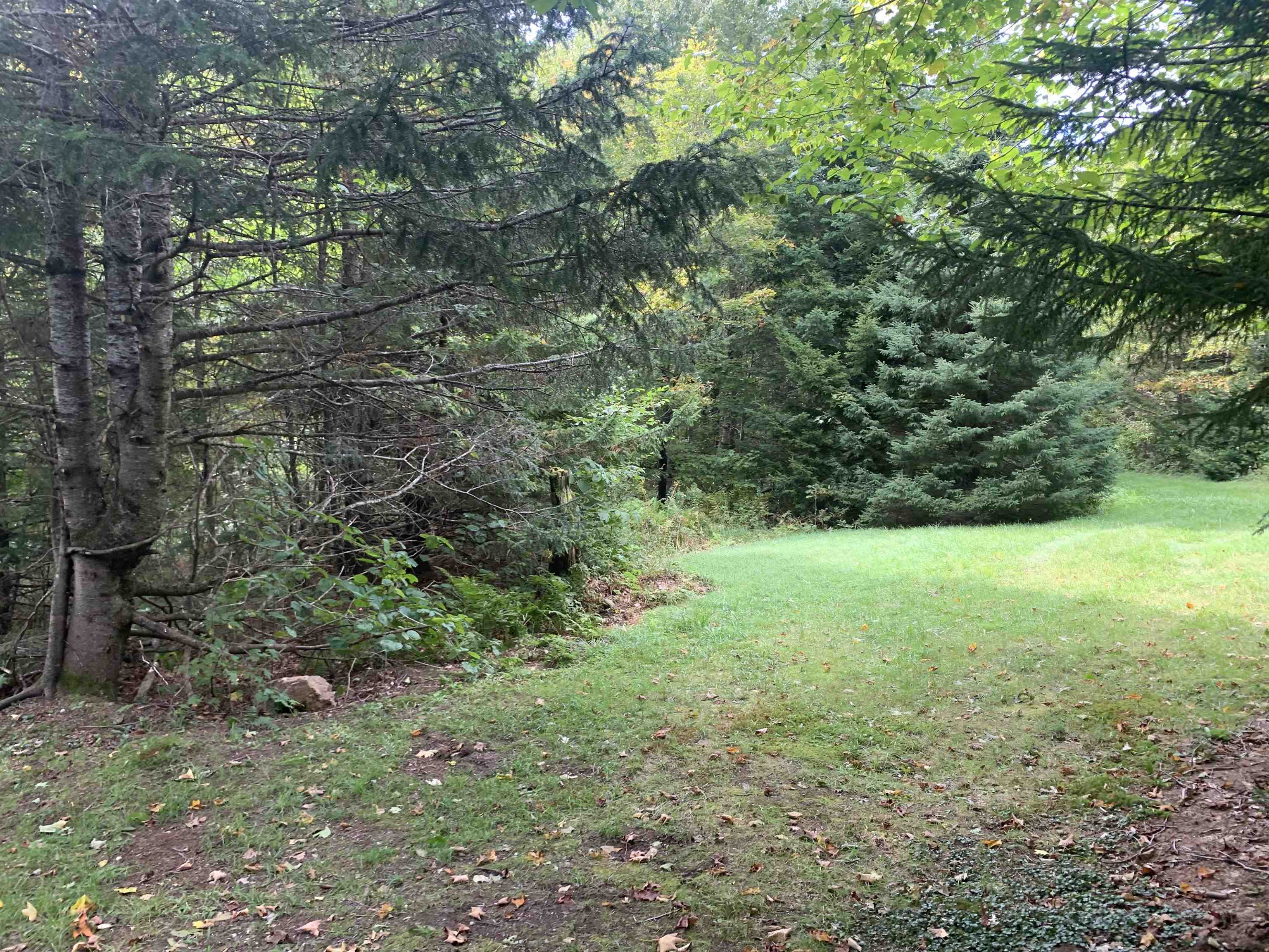 0 Bog Br Road Clarksville, NH 03592 - Photo 22 of 25