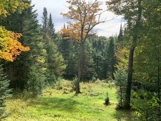 $55,000 | 0 Bog Br Road, Clarksville, NH 03592