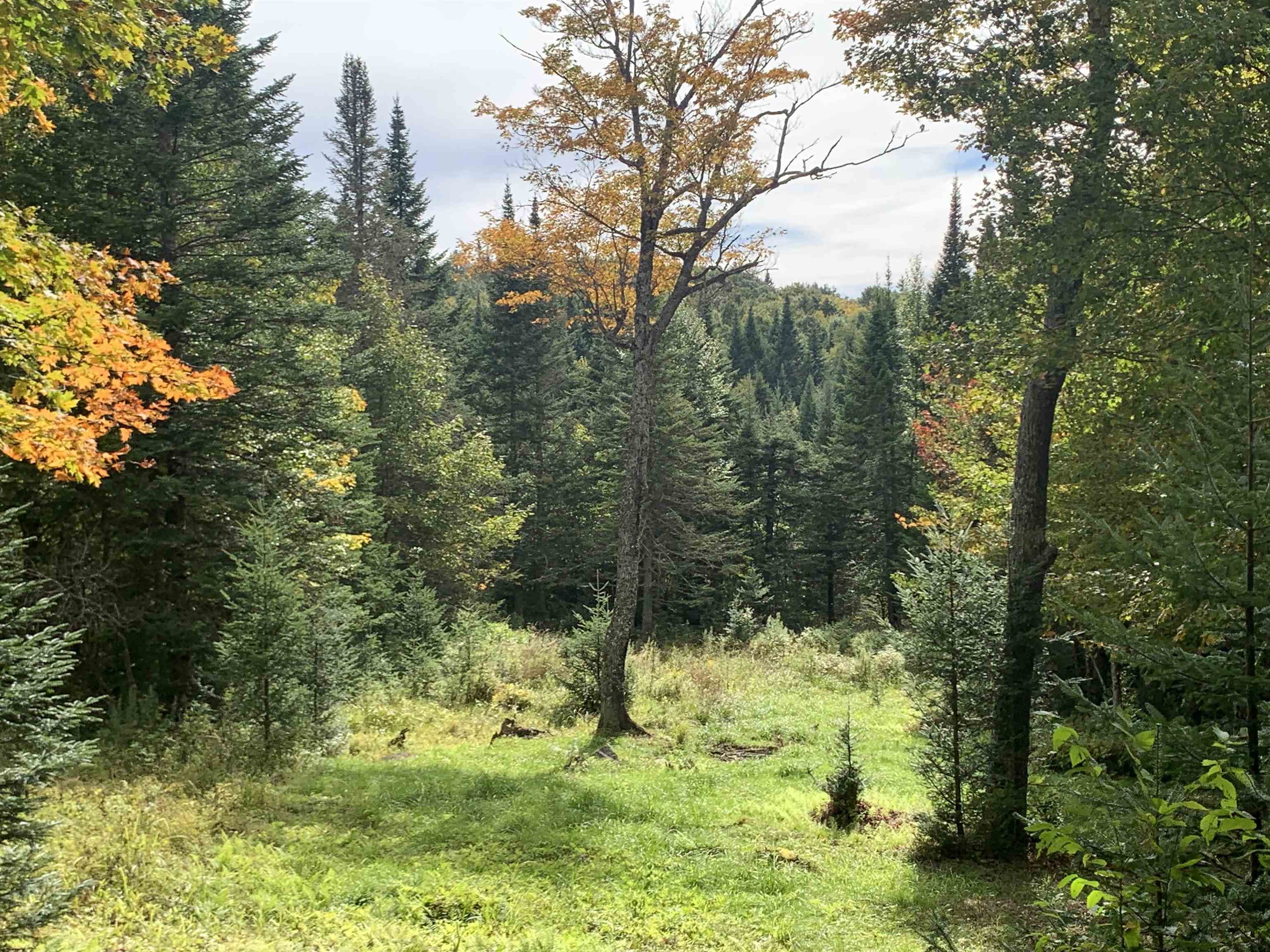 0 Bog Br Road Clarksville, NH 03592 - Photo 23 of 25