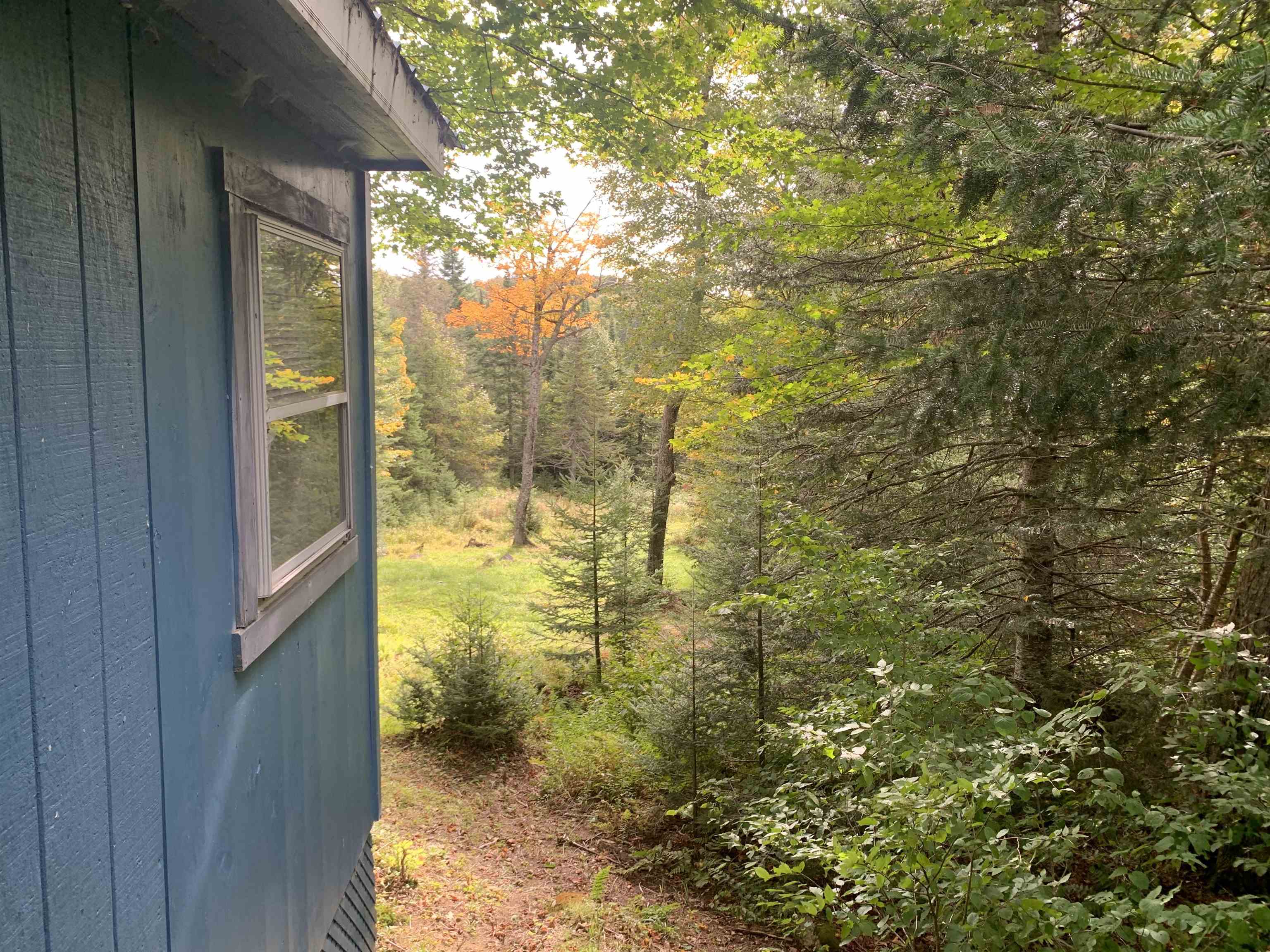 0 Bog Br Road Clarksville, NH 03592 - Photo 24 of 25