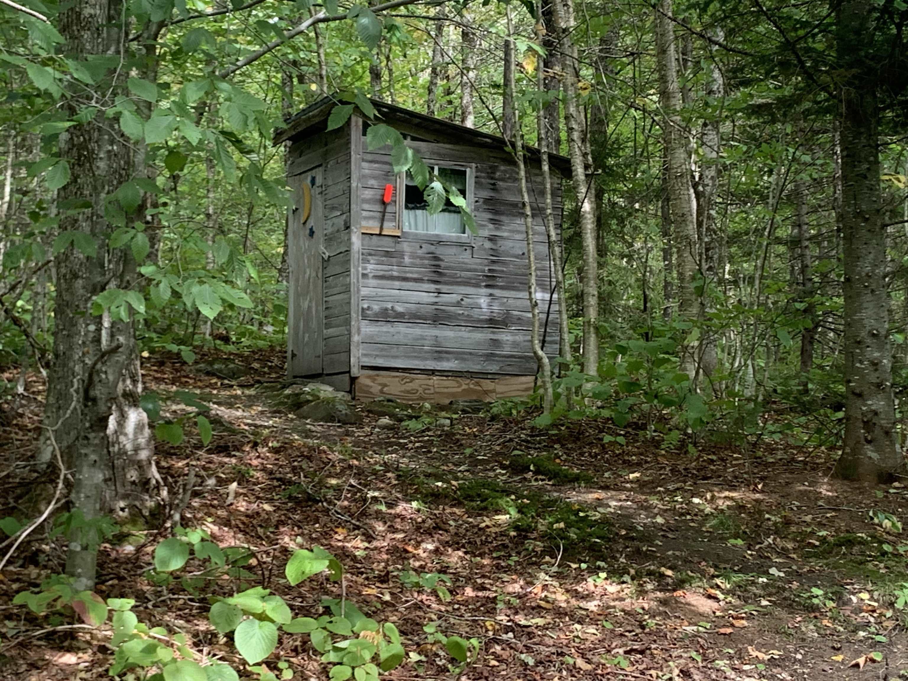 0 Bog Br Road Clarksville, NH 03592 - Photo 25 of 25