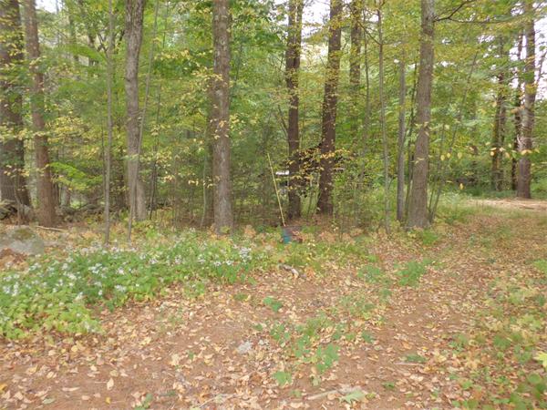 208 Manchaug Road Sutton, MA 01590 - Photo 4 of 6