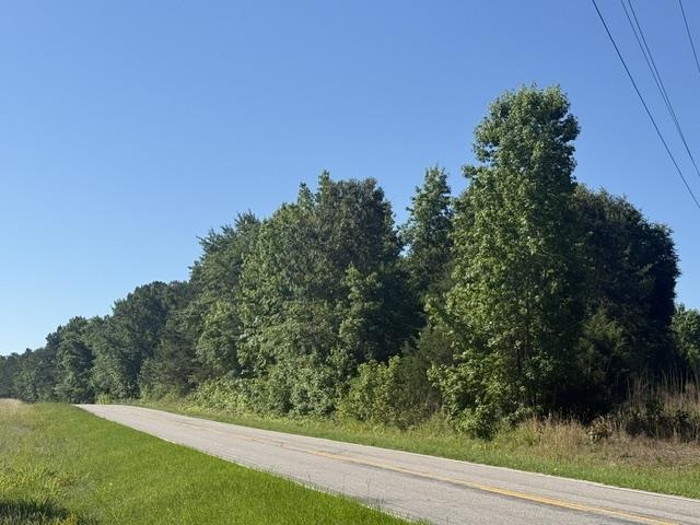 491 Crow Burk Road Pageland, SC 29728 - Photo 2 of 9