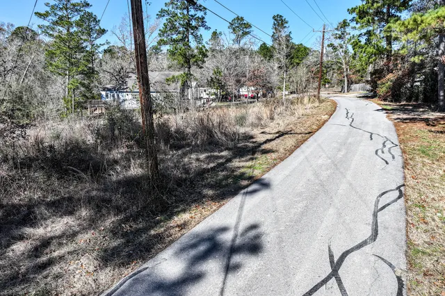 a view of a yard with plants