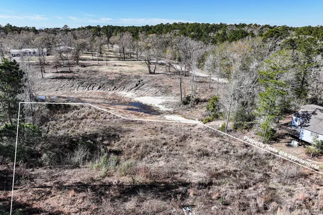 a view of a forest with a forest