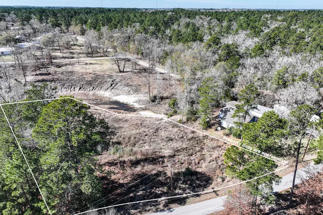 a view of a yard with plants