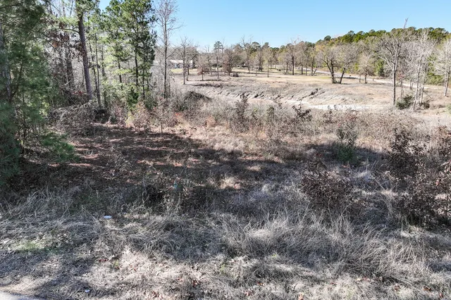 a view of dirt field with large trees