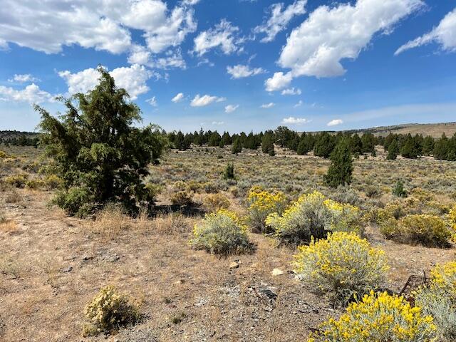 6520 Do Bend, OR 97701 - Photo 1 of 22 IMG_1808