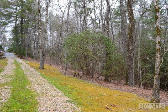 L-8 Silver Springs Road Sapphire, NC 28774 - Photo 1 of 7 Gallery Image 1