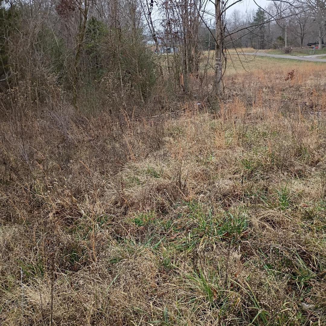497 Old Bethel Road Monticello, KY 42633 - Photo 13 of 21 thumbnail 9