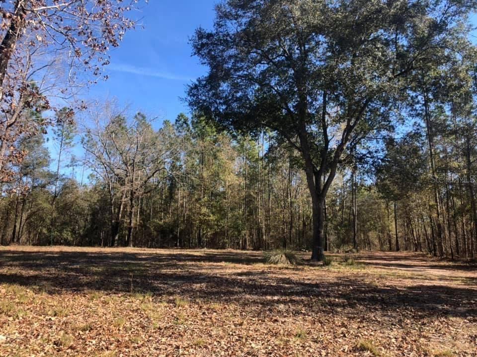 Bullock Bluff Road Bryceville, FL 32009 - Photo 1 of 1 Gallery Image 1