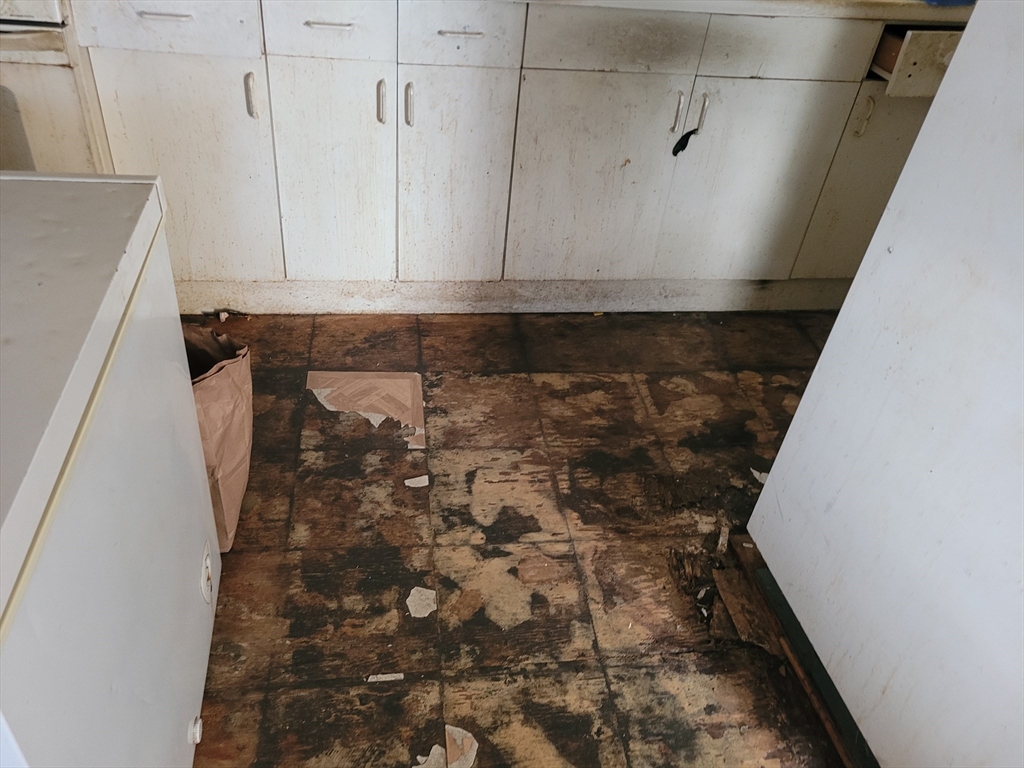 10-12 Carnes Street Lynn, MA 01905 - Photo 19 of 21 a close view of a shower in a bathroom