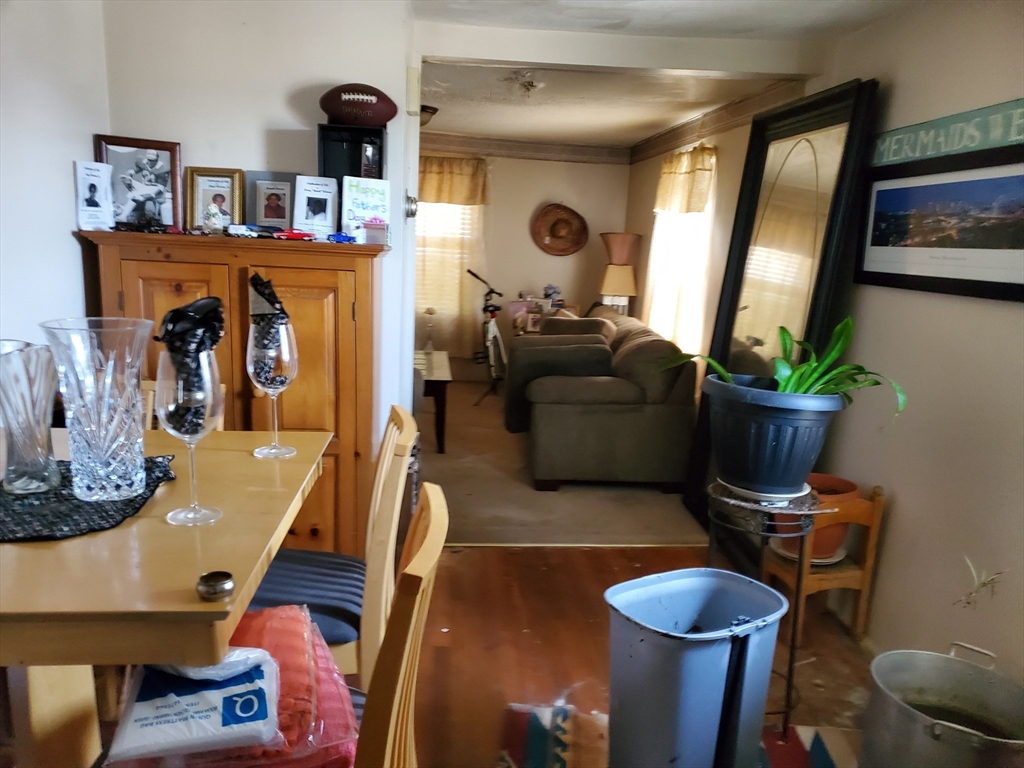 10-12 Carnes Street Lynn, MA 01905 - Photo 6 of 21 a living room with furniture and a potted plant
