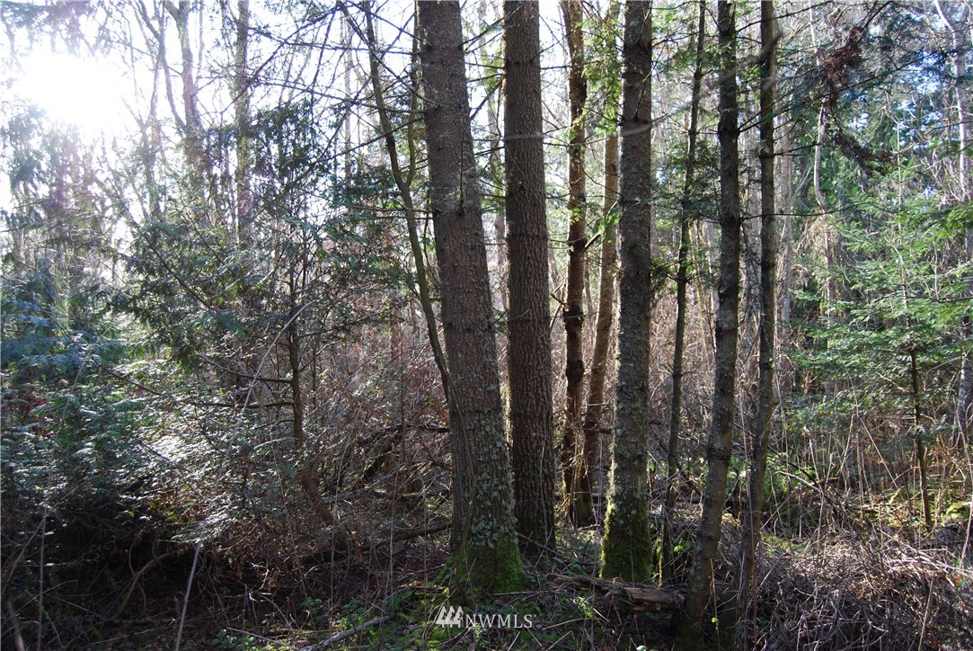 0 Biz Point Road Anacortes, WA 98221 - Photo 11 of 16 Gallery Image 11