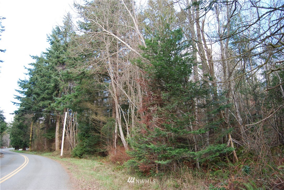 0 Biz Point Road Anacortes, WA 98221 - Photo 12 of 16 Gallery Image 12