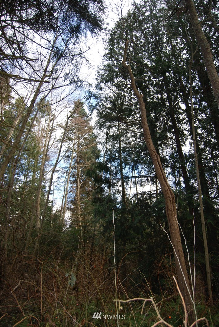 0 Biz Point Road Anacortes, WA 98221 - Photo 15 of 16 Gallery Image 15