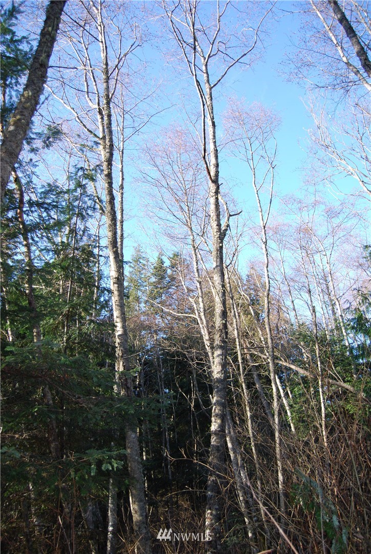 0 Biz Point Road Anacortes, WA 98221 - Photo 9 of 16 Gallery Image 9