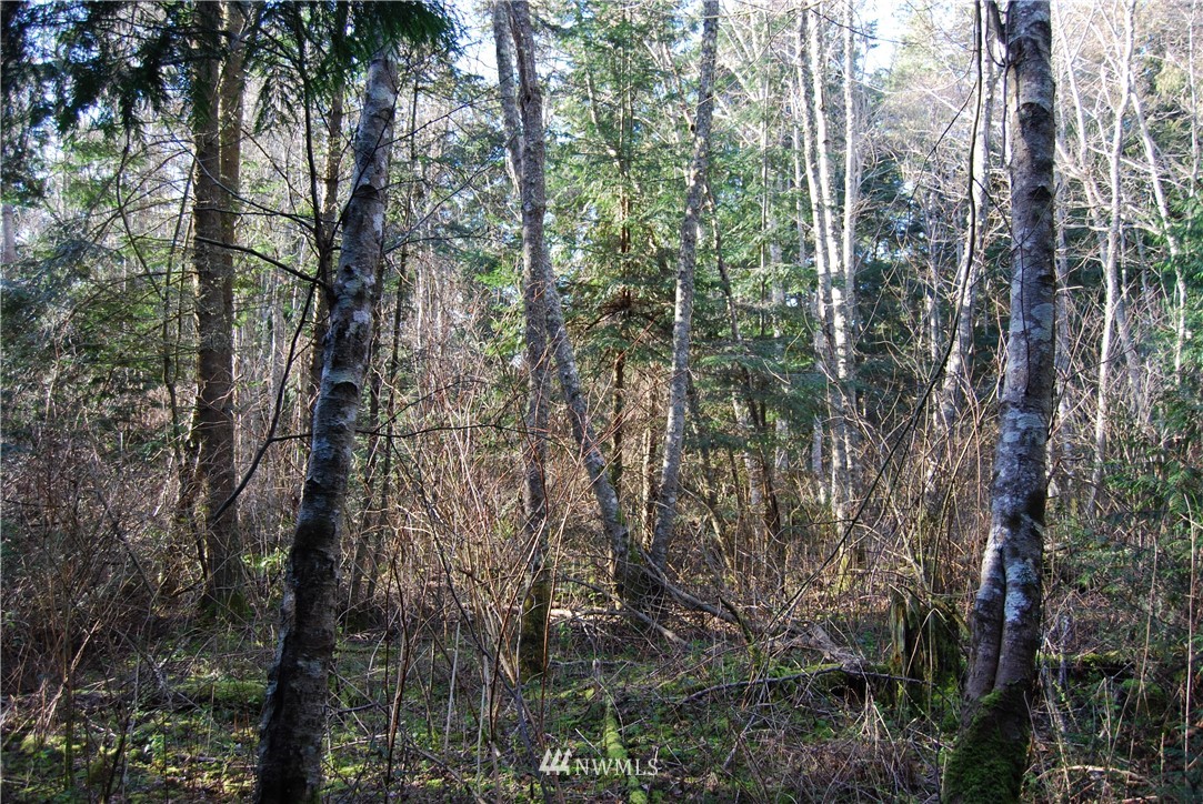 0 Biz Point Road Anacortes, WA 98221 - Photo 10 of 16 Gallery Image 10