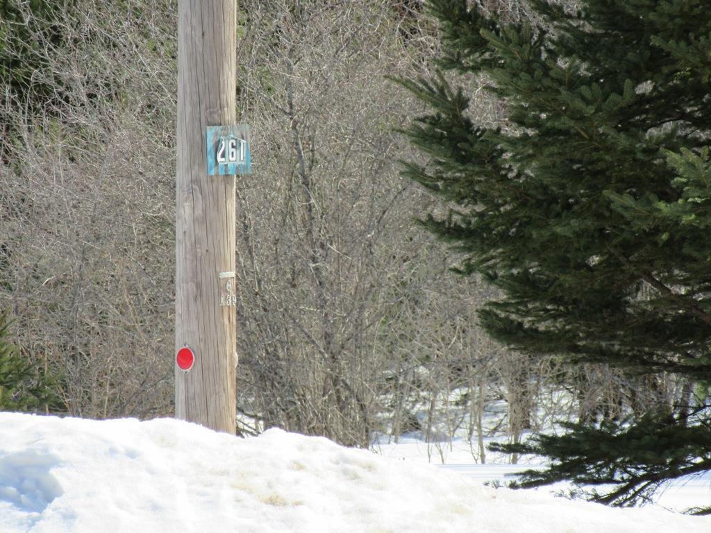 0 Main Road South Passadumkeag, ME 04475 - Photo 3 of 5 House number (261) across the street...