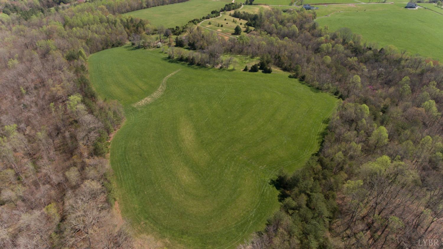 0 Father Judge Road Monroe, VA 24574 - Photo 21 of 23 a view of a green yard