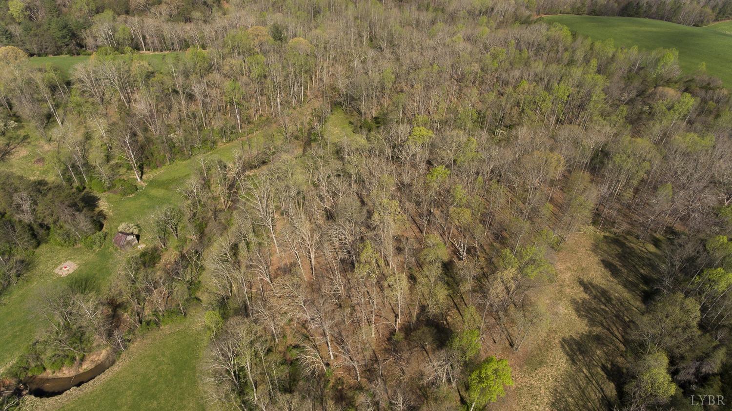 0 Father Judge Road Monroe, VA 24574 - Photo 6 of 23 a view of a yard