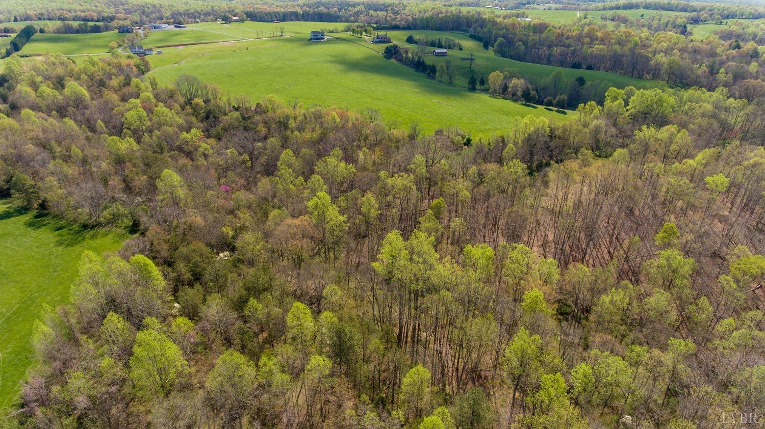0 Father Judge Road Monroe, VA 24574 - Photo 10 of 23 a view of a lake with green space