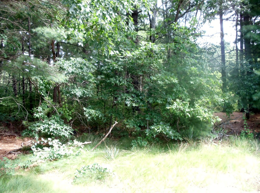 0 Old Onset Road Onset, MA 02558 - Photo 1 of 1 Gallery Image 1