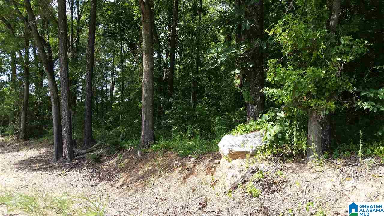 1885 Brooks Lake Road Lincoln, AL 35096 - Photo 6 of 30