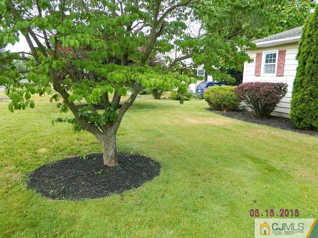 678 Ridge Road Monmouth Junction, NJ 08852 - Photo 5 of 9 a vase of flowers sitting in a yard with swimming pool