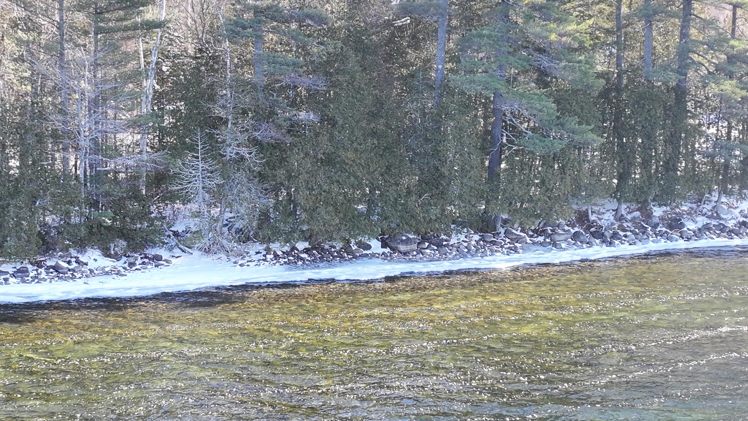 610 Railroad Bed Rd Lake View Milo, ME 04463 - Photo 15 of 30 MLS15