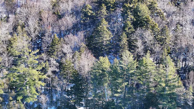 $425,000 | 610 Railroad Bed Rd Lake View, Milo, ME 04463