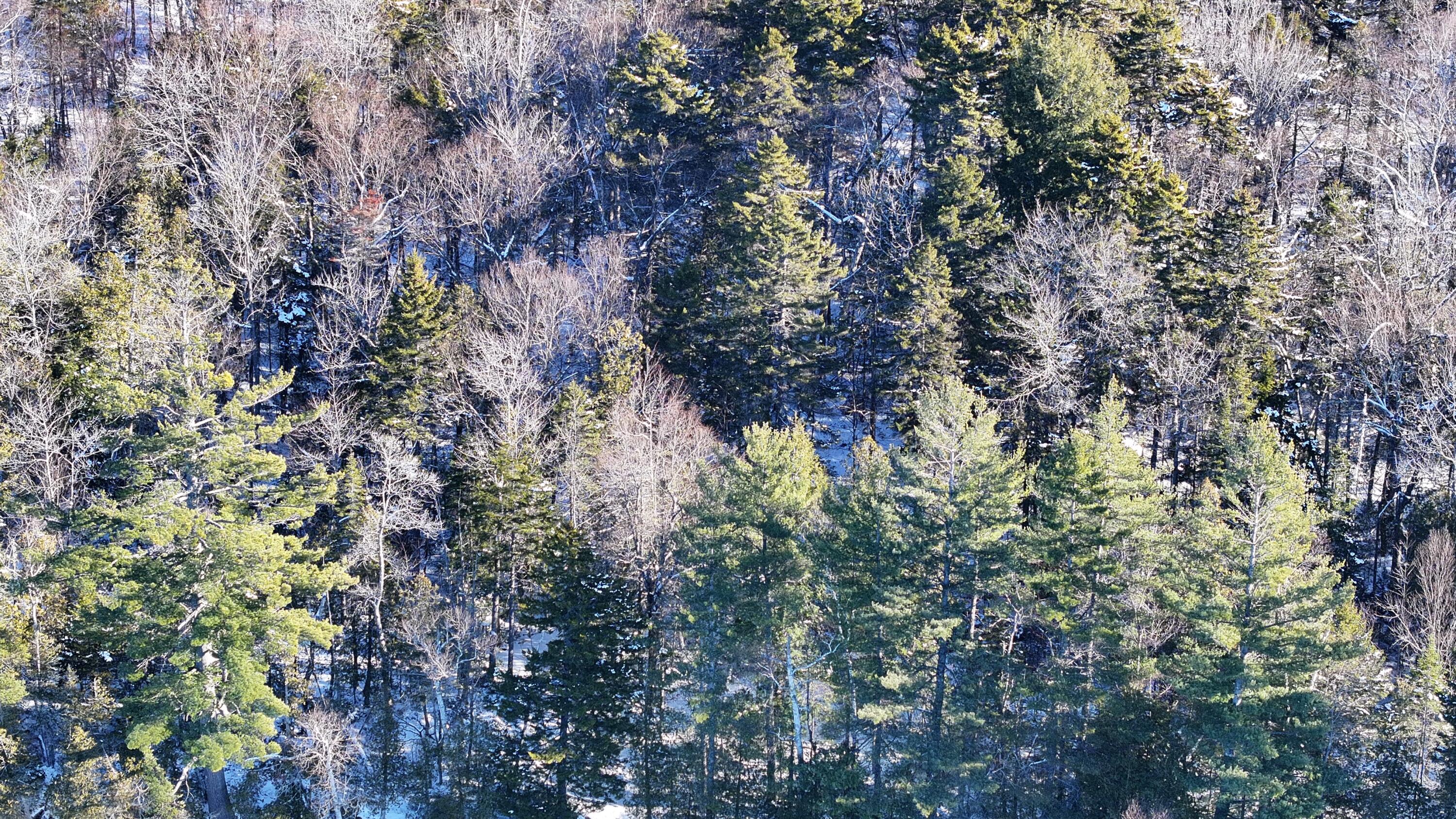 610 Railroad Bed Rd Lake View Milo, ME 04463 - Photo 18 of 30 MLS18