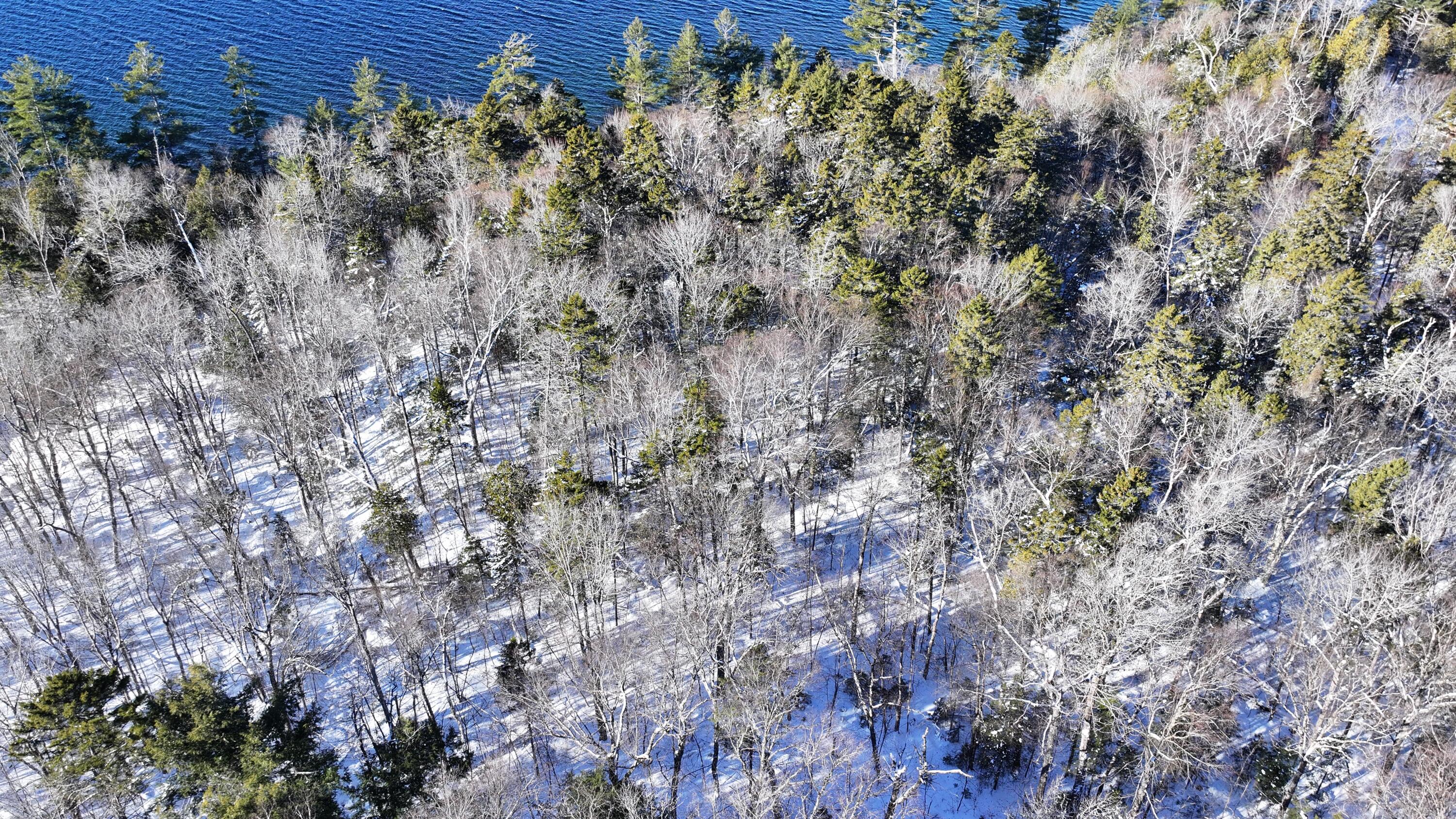 610 Railroad Bed Rd Lake View Milo, ME 04463 - Photo 19 of 30 MLS19