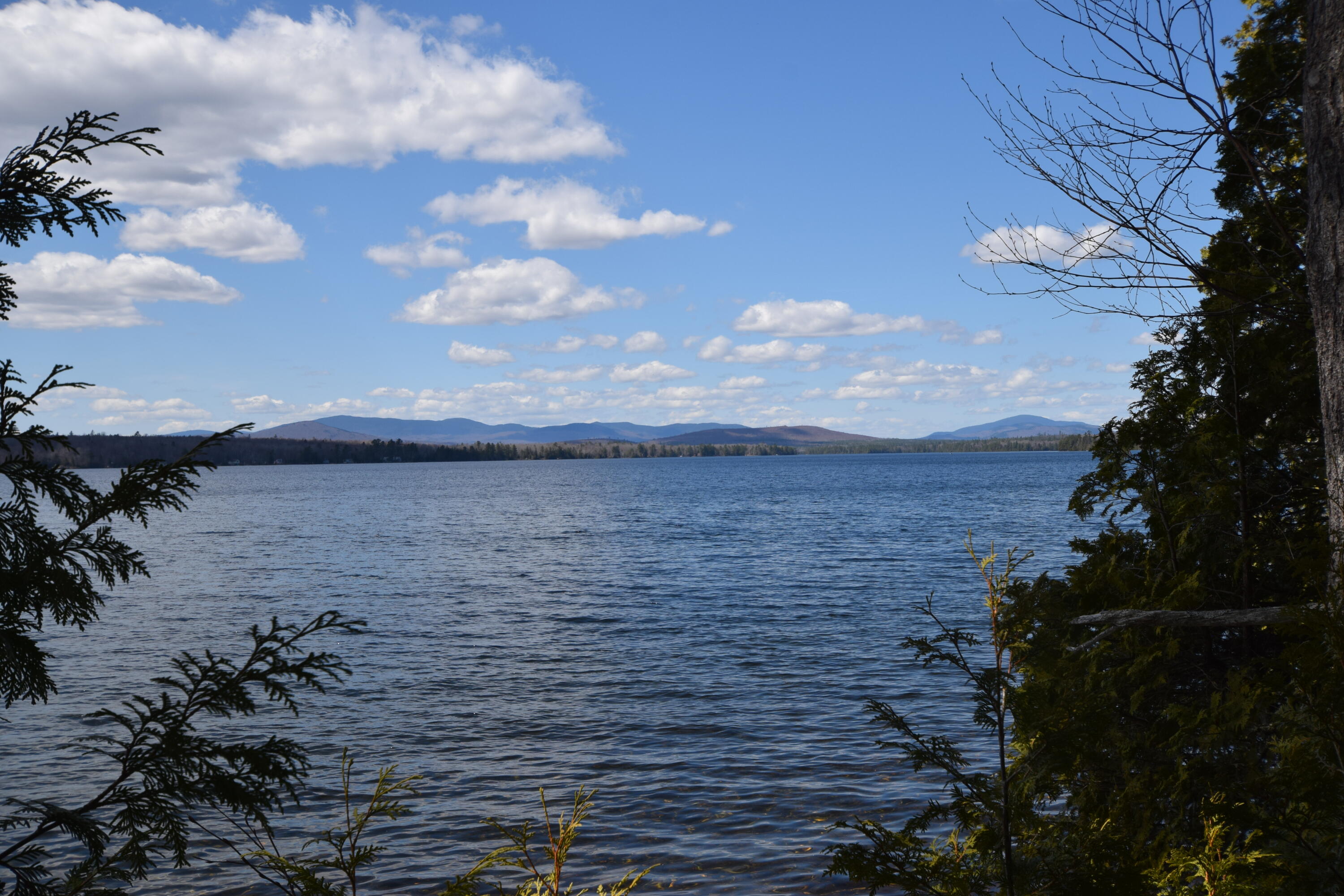 610 Railroad Bed Rd Lake View Milo, ME 04463 - Photo 22 of 30 MLS22