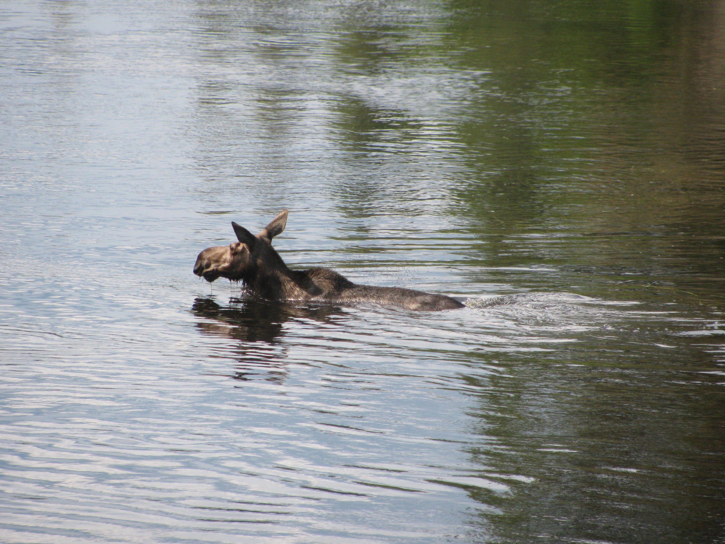 610 Railroad Bed Rd Lake View Milo, ME 04463 - Photo 28 of 30 MLS28