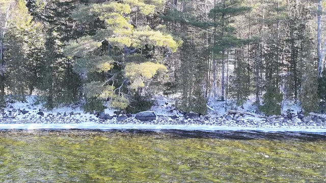 $425,000 | 610 Railroad Bed Rd Lake View, Milo, ME 04463