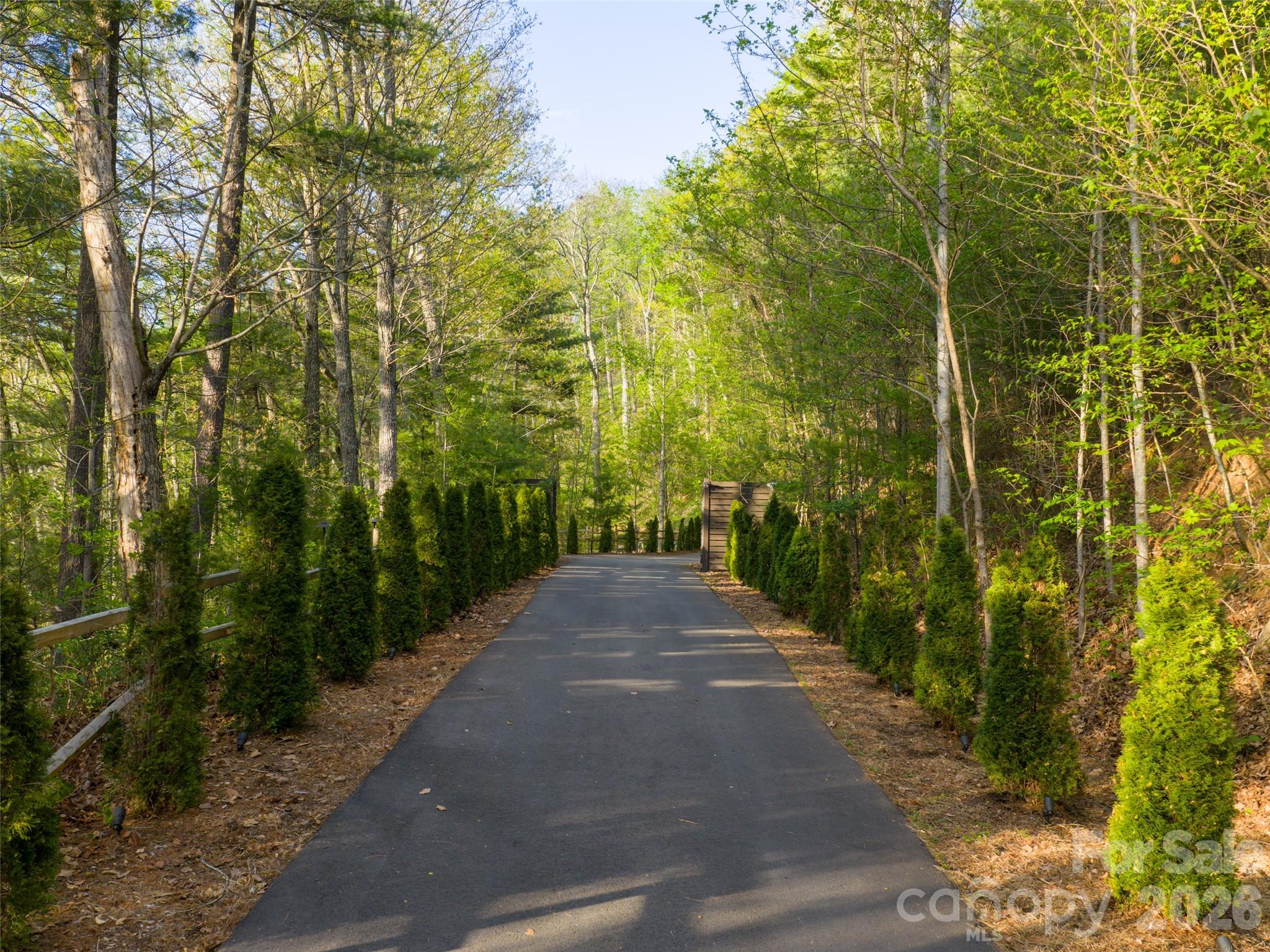 32 Timberwolf Court Asheville, NC 28804 - Photo 36 of 44