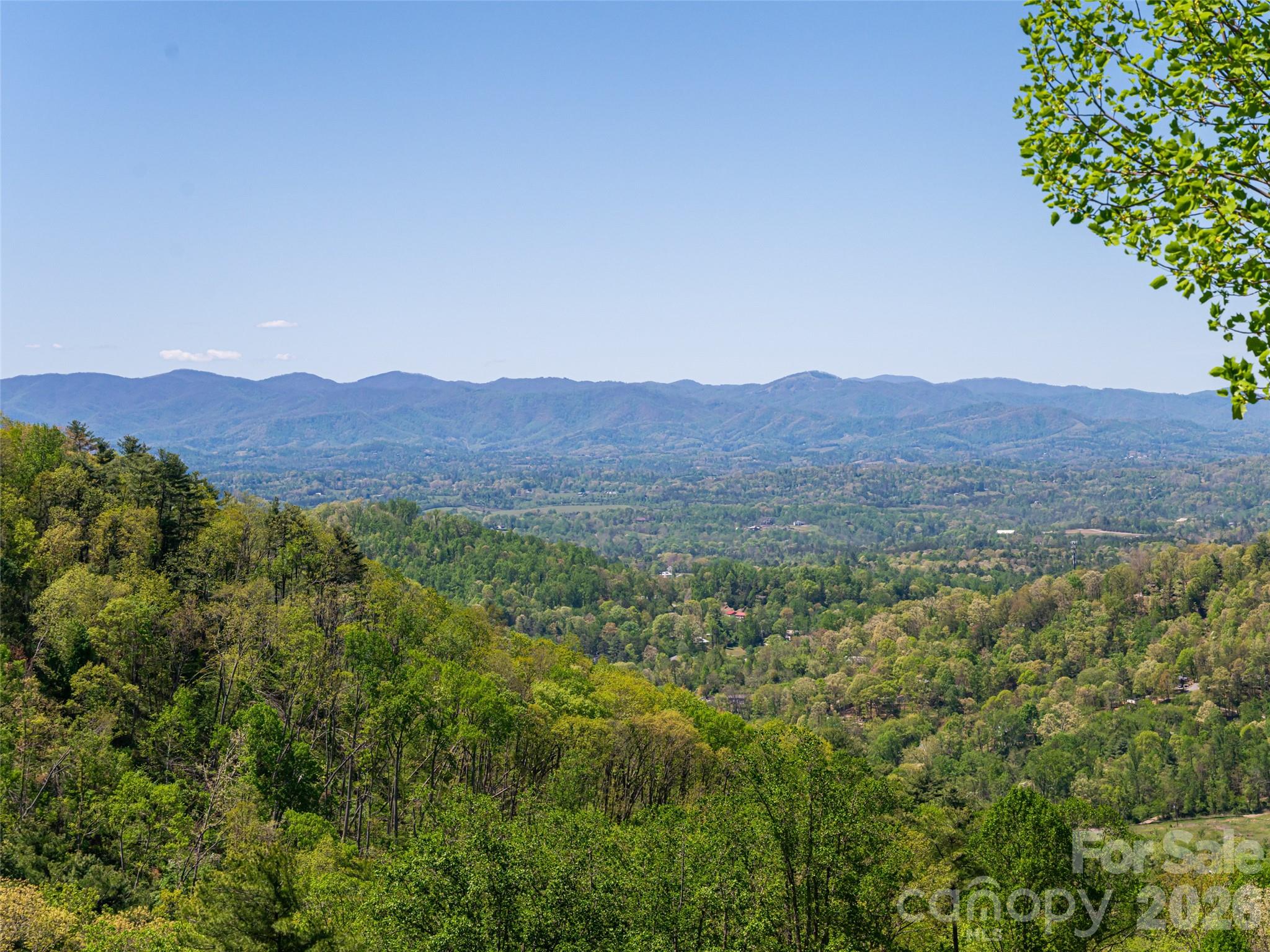 32 Timberwolf Court Asheville, NC 28804 - Photo 4 of 44