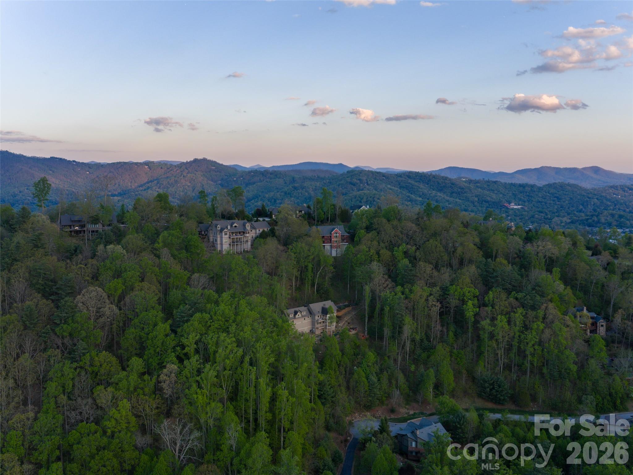 32 Timberwolf Court Asheville, NC 28804 - Photo 41 of 44