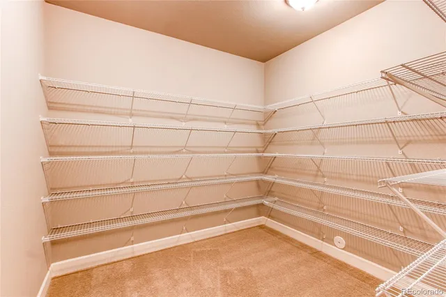 $3,300 | 3432 Goodyear Street, Castle Rock, CO 80109