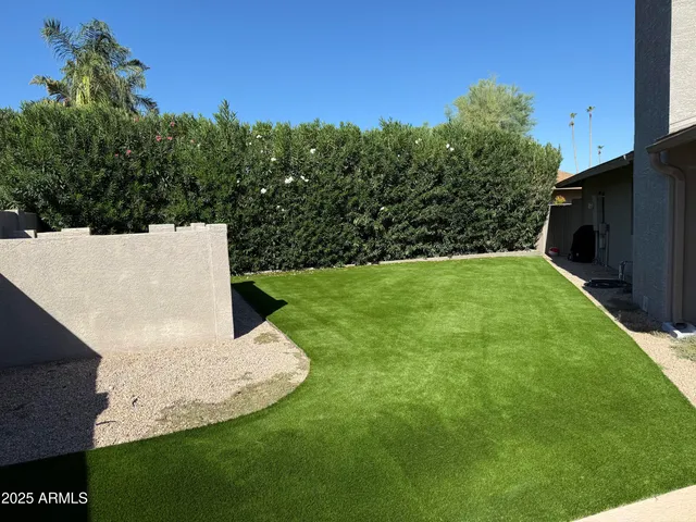 a view of a backyard